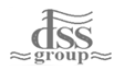 DSS Group Москва